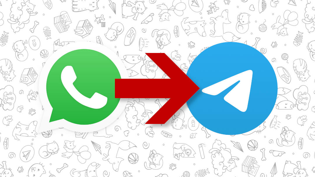 We’re Moving From WhatsApp to Telegram